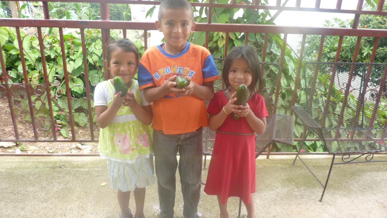 Niños-as mostrando producción de chile del huerto