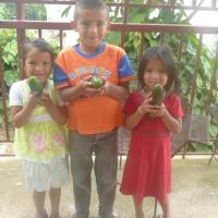 Niños-as mostrando producción de chile del huerto