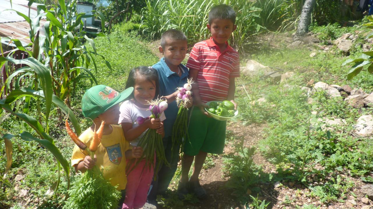 Niños-as mostrando producción de zanahoria y cebolla en el huerto