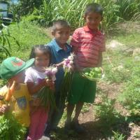 Niños-as mostrando producción de zanahoria y cebolla en el huerto